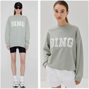 Anine Bing Tyler Pastel Green Oversized Crewneck Sweatshirt Small